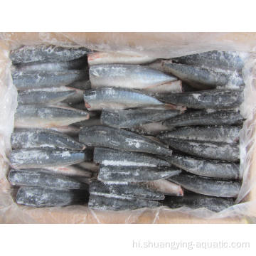 उच्च गुणवत्ता वाले जमे हुए प्रशांत मैकेरल मछली एचजीटी बिक्री